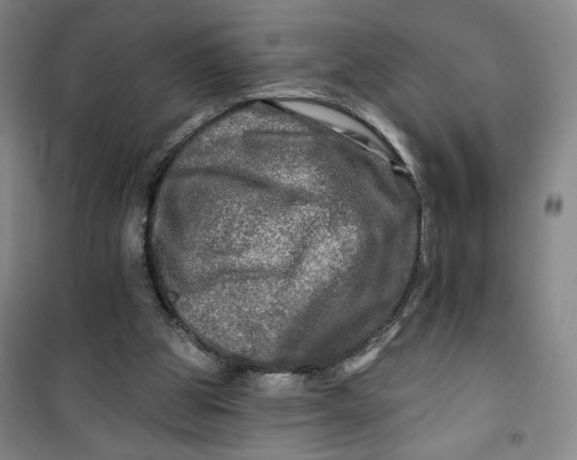 X0000100970153200807151400