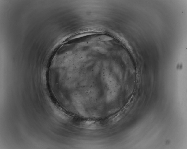 X0000100970154200807151400