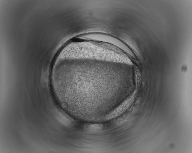 X0000100970156200807151400