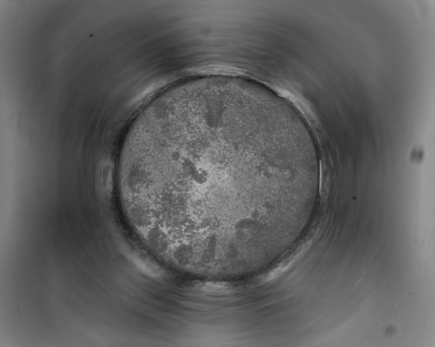 X0000100970157200807151400