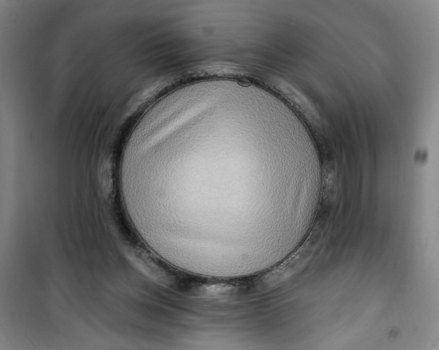 X0000100970158200807151400
