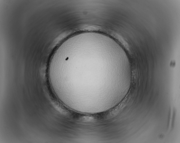 X0000100970159200807151400