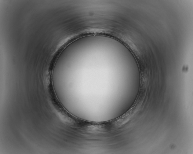 X0000100970160200807151400