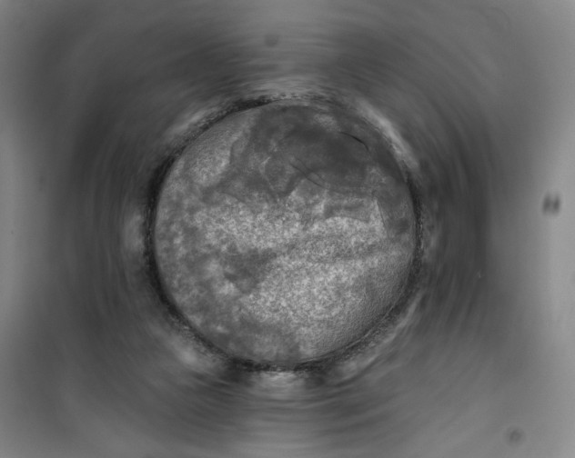 X0000100970161200807151400