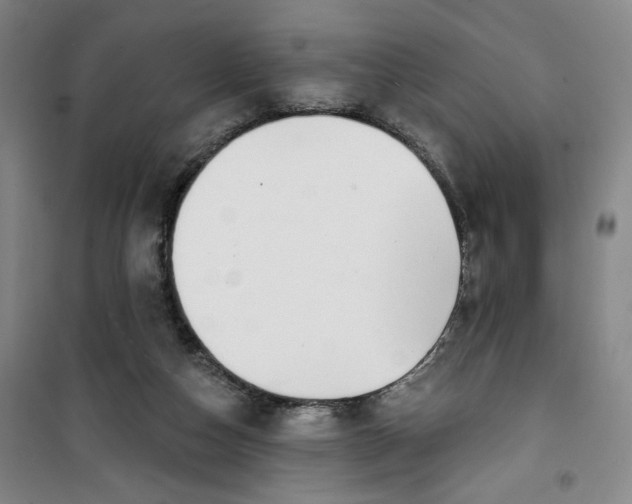 X0000100970162200807151400