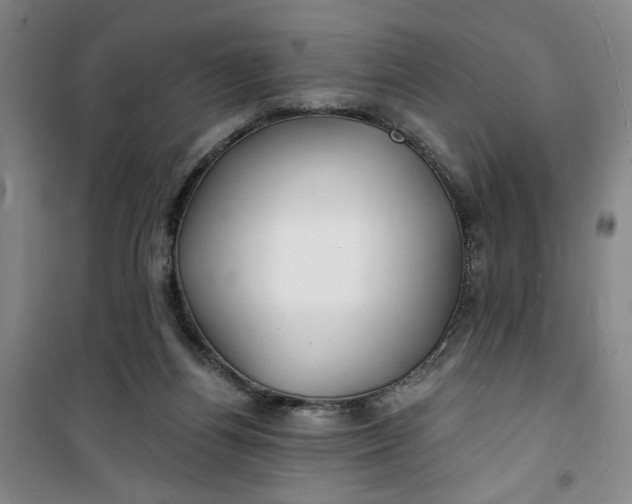 X0000100970164200807151400