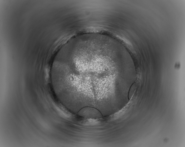X0000100970166200807151400