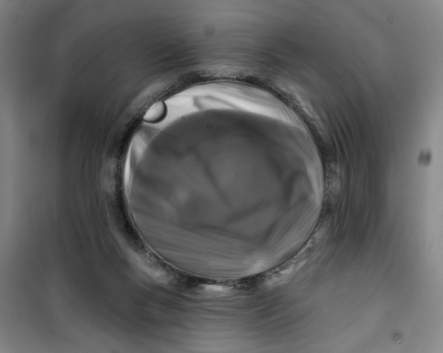 X0000100970167200807151400