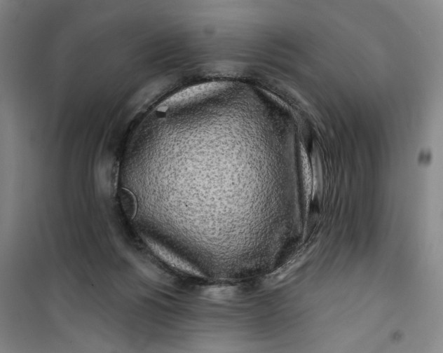 X0000100970168200807151400