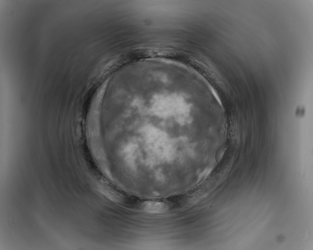 X0000100970169200807151400