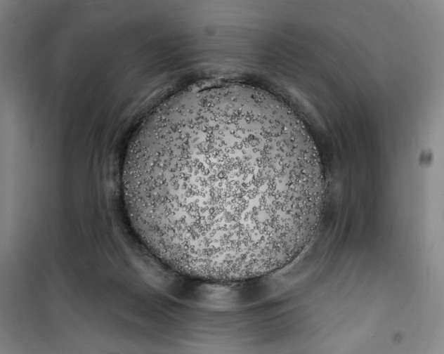 X0000100970170200807151400