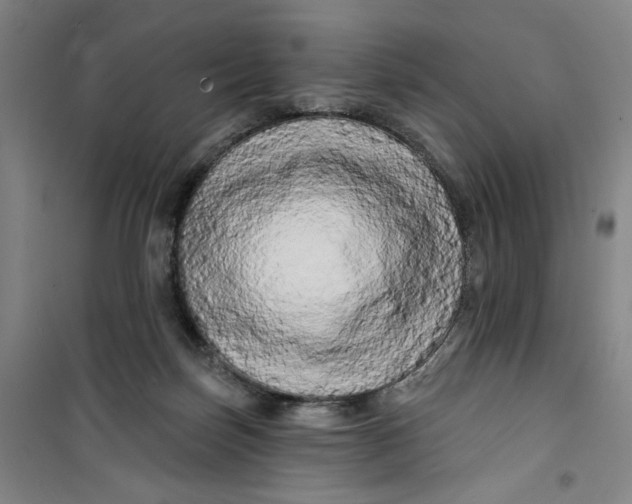 X0000100970171200807151400