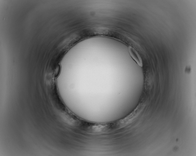 X0000100970172200807151400