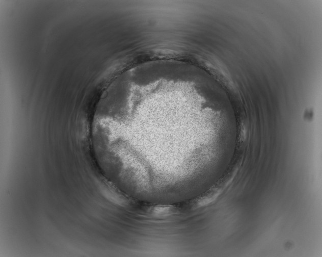 X0000100970173200807151400