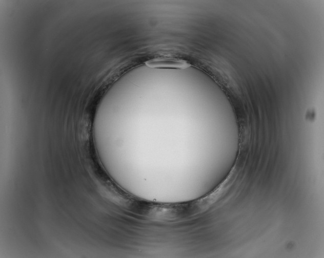 X0000100970174200807151400