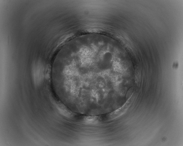 X0000100970175200807151400