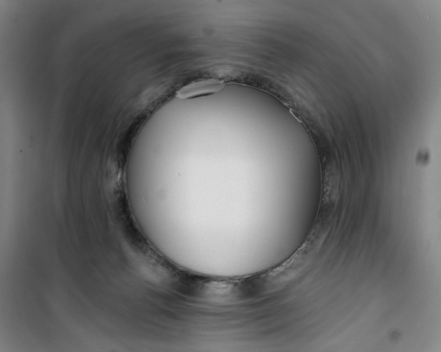 X0000100970176200807151400