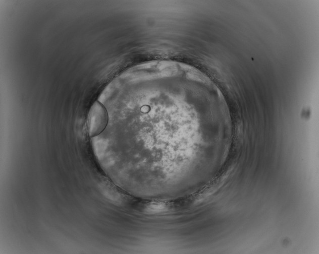 X0000100970177200807151400