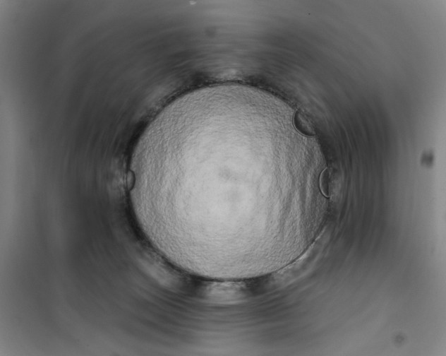 X0000100970179200807151400
