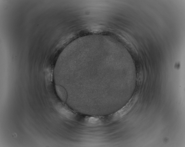 X0000100970180200807151400