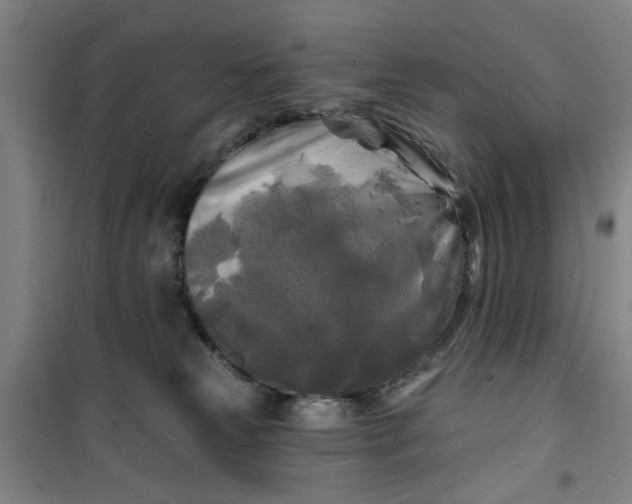 X0000100970181200807151400
