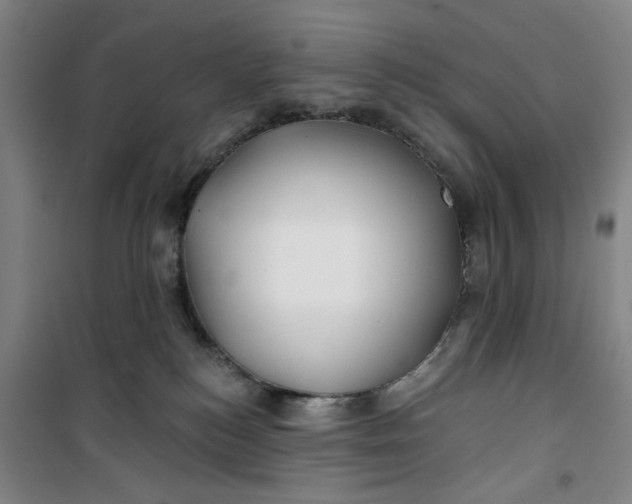 X0000100970184200807151400
