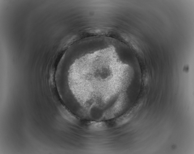 X0000100970185200807151400