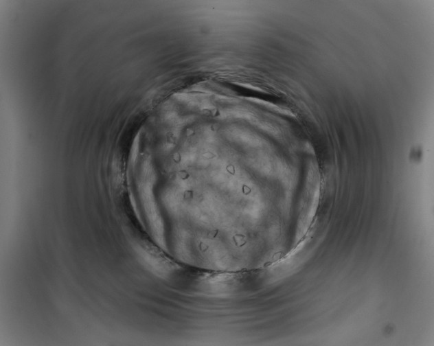 X0000100970186200807151400