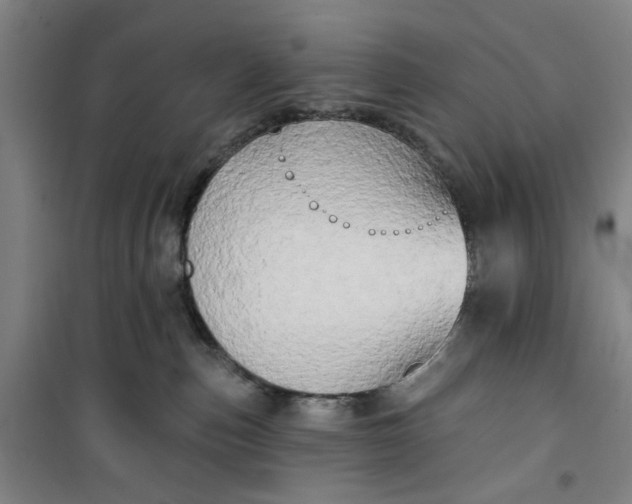 X0000100970187200807151400