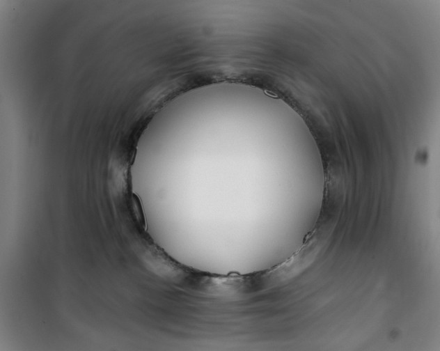 X0000100970188200807151400