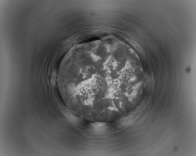 X0000100970189200807151400