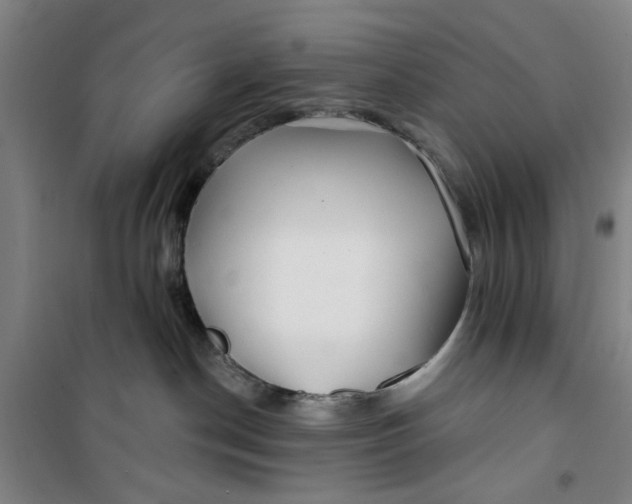 X0000100970190200807151400