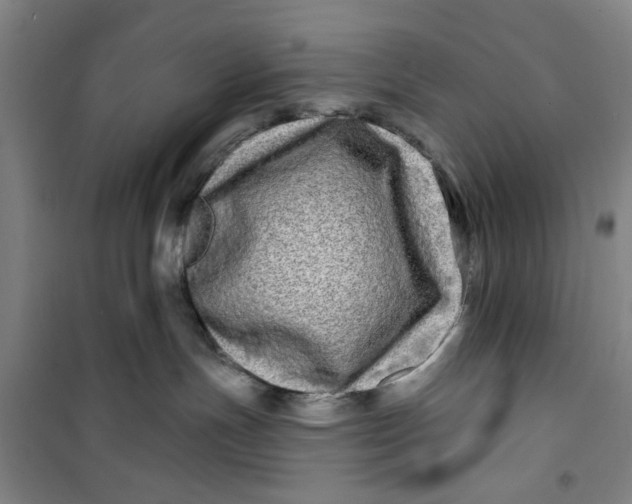 X0000100970191200807151400