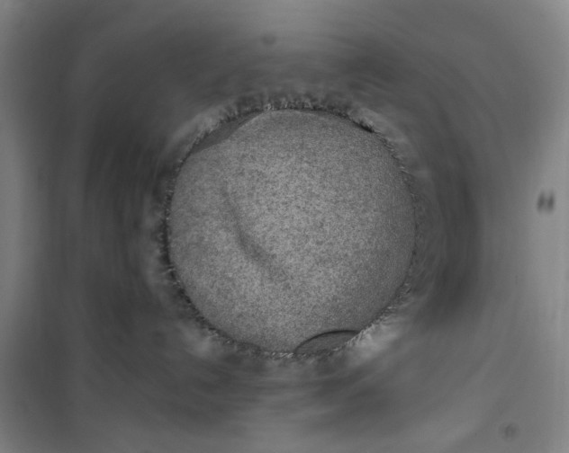 X0000100970192200807151400