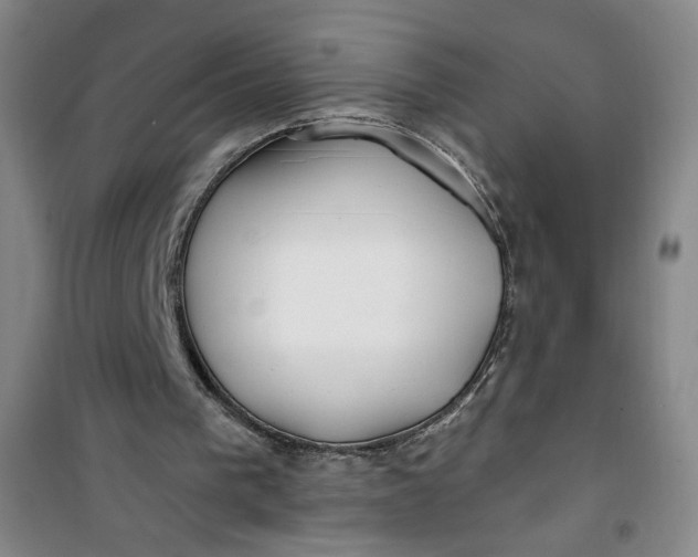 X0000100970193200807151359