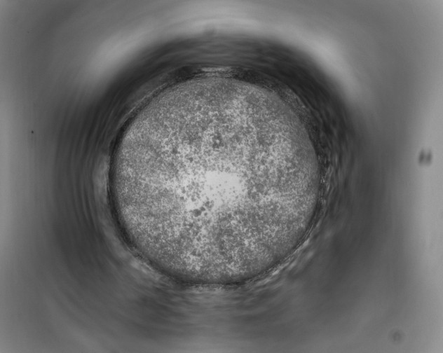 X0000100970194200807151359