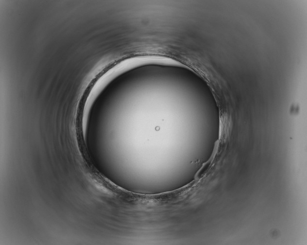 X0000100970195200807151359