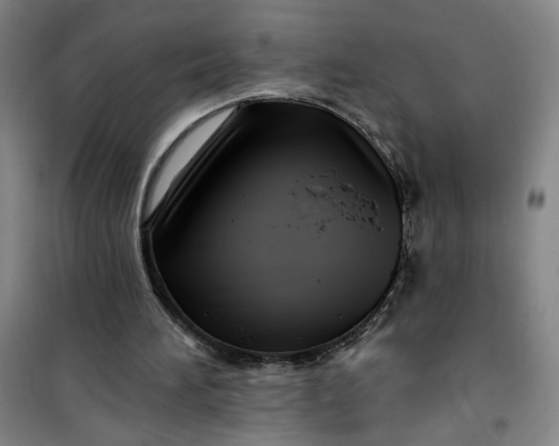 X0000100970196200807151359