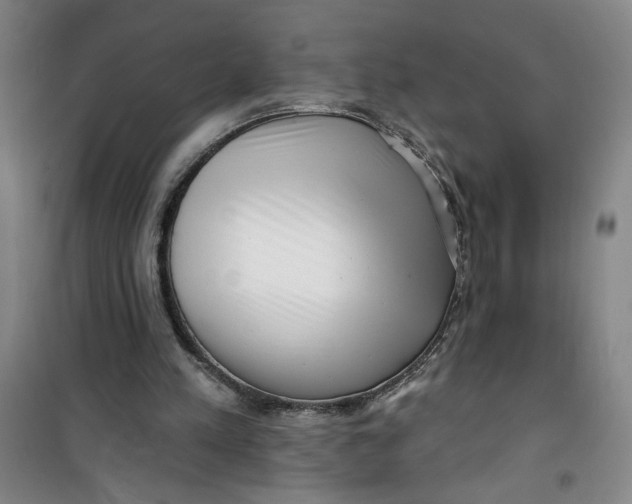 X0000100970197200807151359