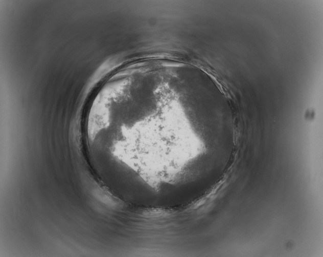 X0000100970198200807151359