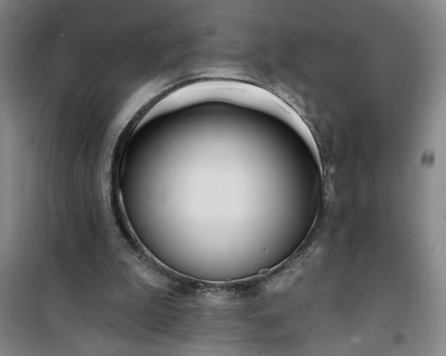 X0000100970199200807151359