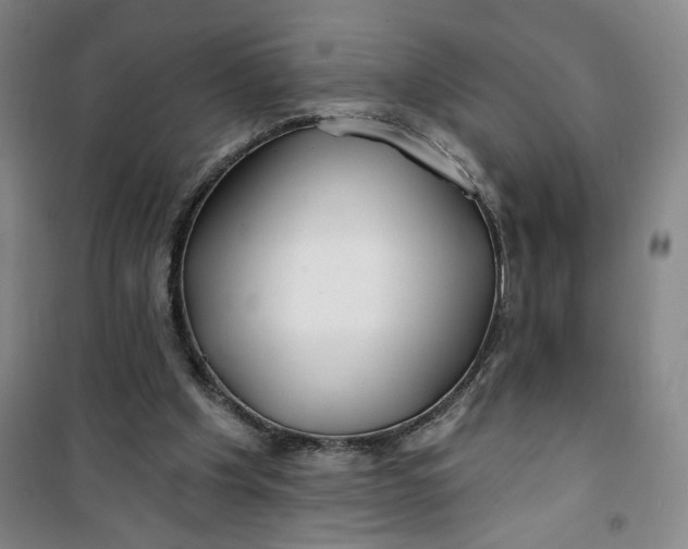 X0000100970201200807151359