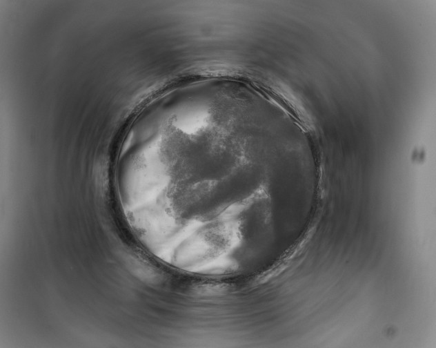 X0000100970202200807151359