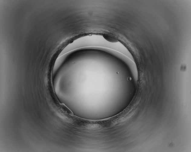 X0000100970203200807151359