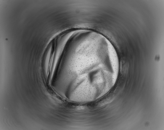 X0000100970204200807151359