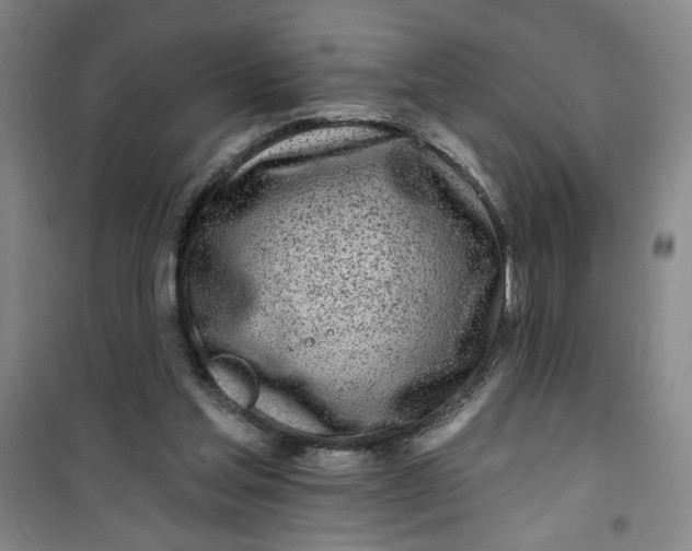 X0000100970205200807151359