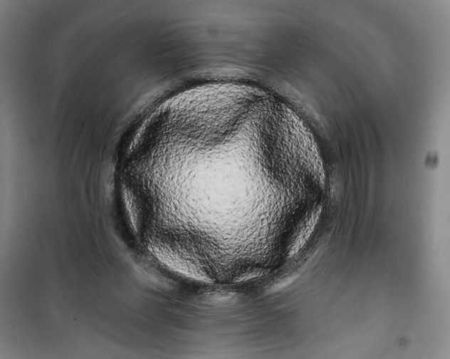 X0000100970206200807151359