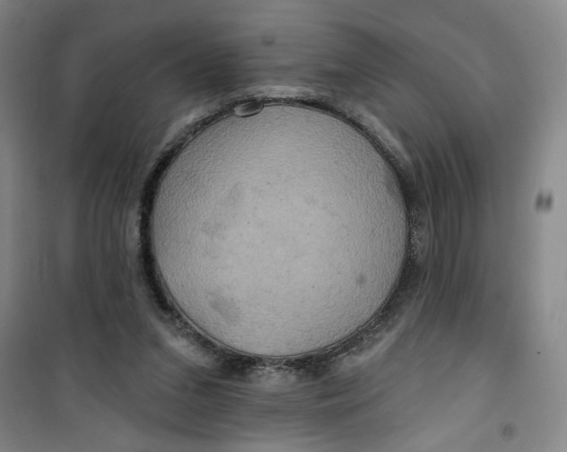 X0000100970207200807151359