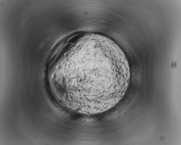 X0000100970208200807151359