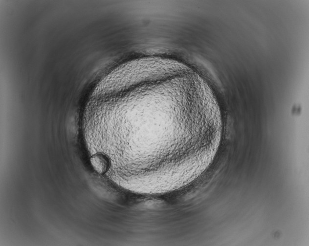 X0000100970210200807151359